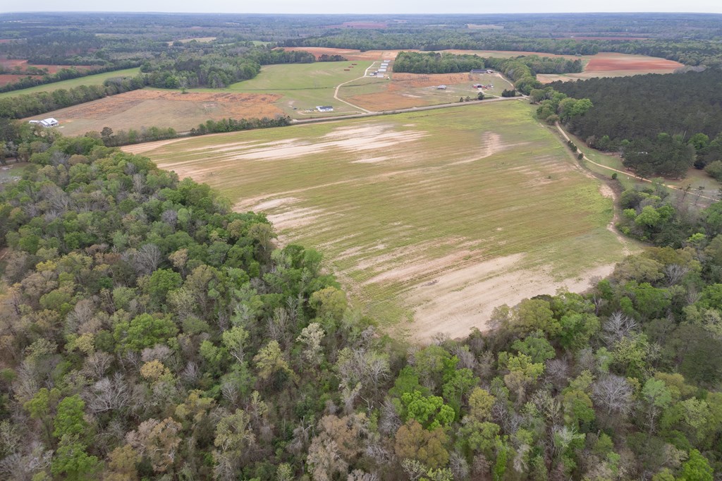 4.05 Acres Singletary Rd Lot 3, Slocomb, Alabama image 8