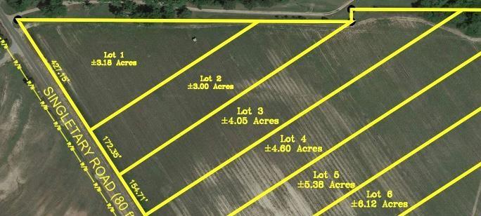 4.05 Acres Singletary Rd Lot 3, Slocomb, Alabama image 1