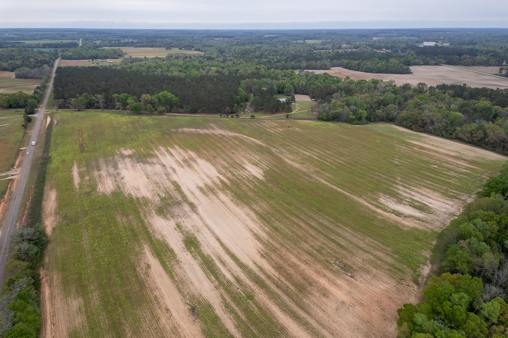 4.05 Acres Singletary Rd Lot 3, Slocomb, Alabama image 4