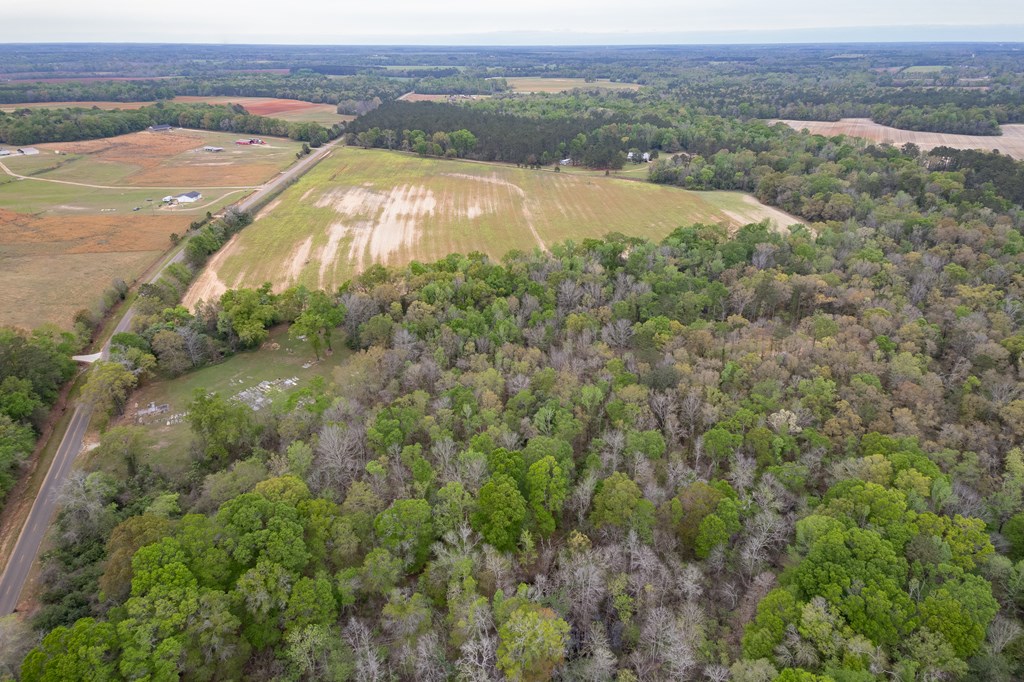 4.05 Acres Singletary Rd Lot 3, Slocomb, Alabama image 5