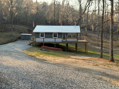 Homes For Sale - 1393 Lakeshore Drive<br/> Abbeville, AL 36310