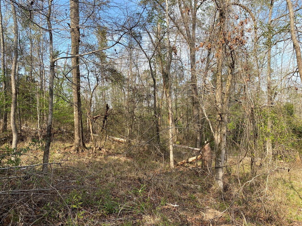 Woodland Dr, Abbeville, Alabama image 15