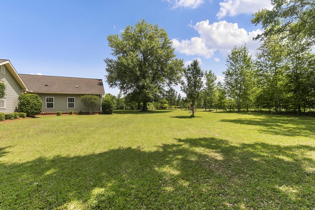 1148 Crawford Road, Cowarts, Alabama image 42