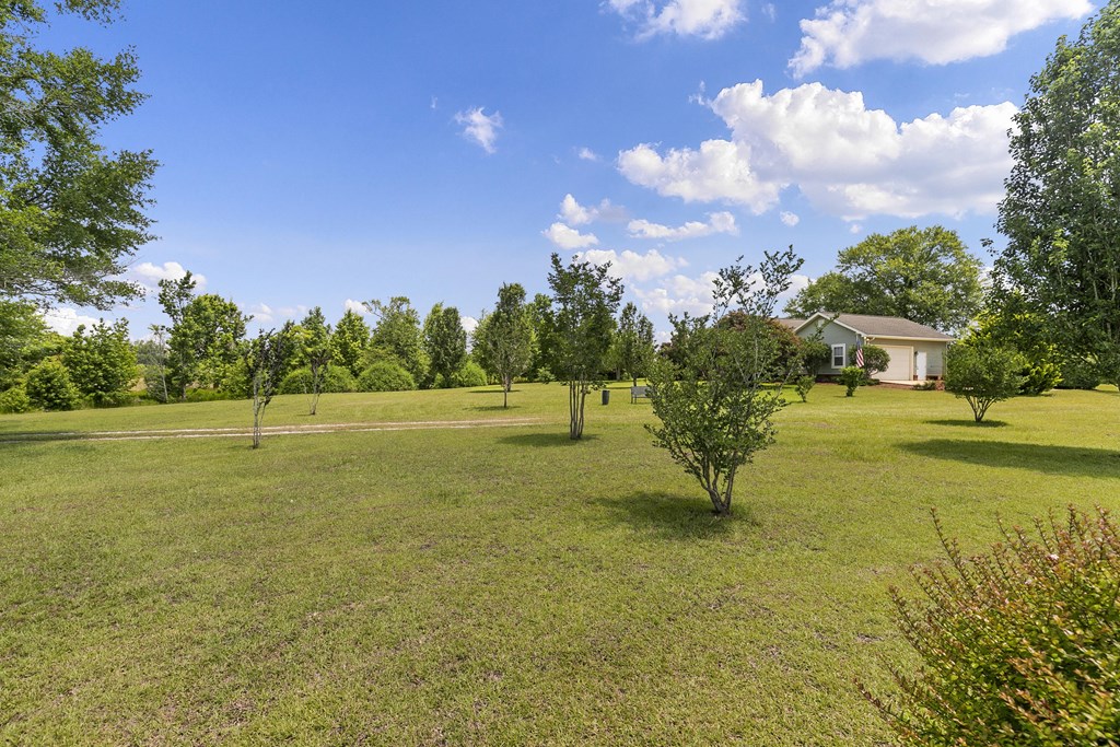 1148 Crawford Road, Cowarts, Alabama image 50