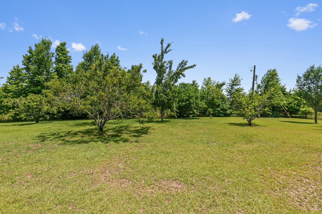 1148 Crawford Road, Cowarts, Alabama image 36
