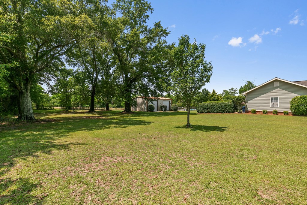 1148 Crawford Road, Cowarts, Alabama image 39