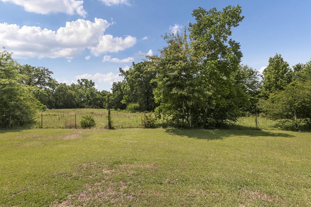 1148 Crawford Road, Cowarts, Alabama image 47