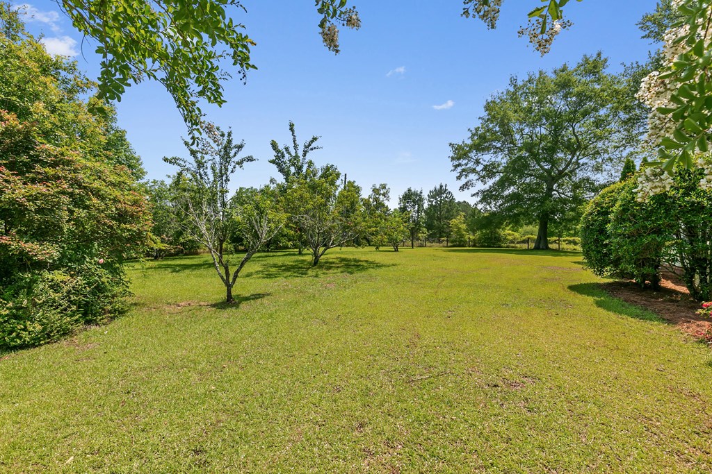 1148 Crawford Road, Cowarts, Alabama image 35