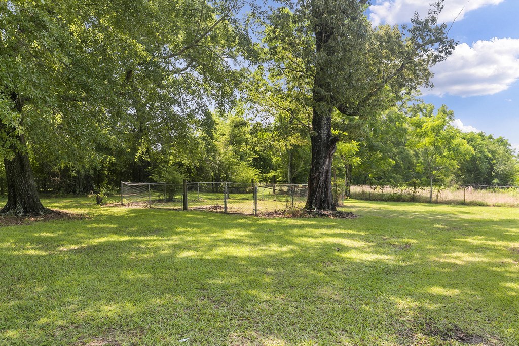 1148 Crawford Road, Cowarts, Alabama image 44