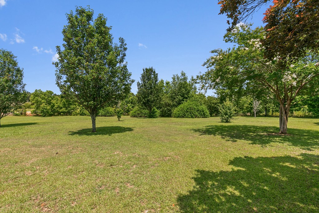 1148 Crawford Road, Cowarts, Alabama image 34