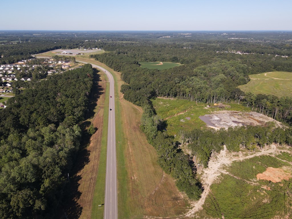 00 Boll Weevil Circle, Enterprise, Alabama image 3