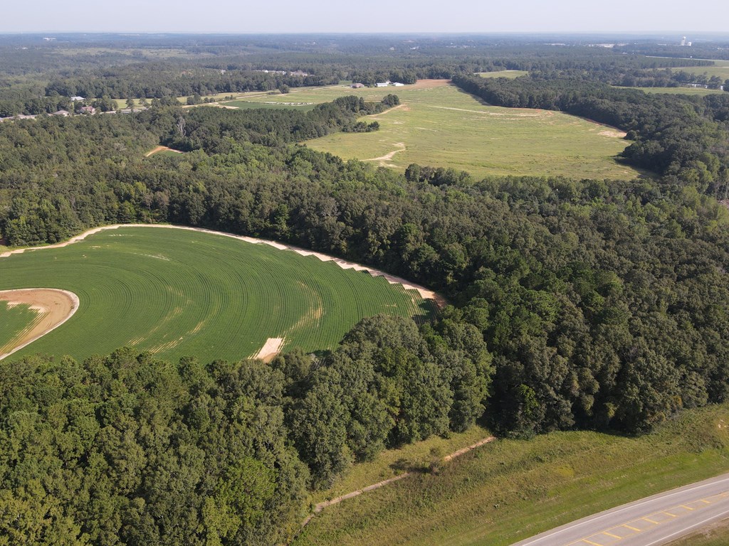 00 Boll Weevil Circle, Enterprise, Alabama image 12