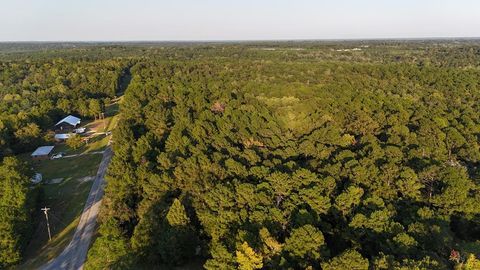 Vacant Land For Sale - 10340 County Road 54<br/> Dale County, Skipperville, AL 36374