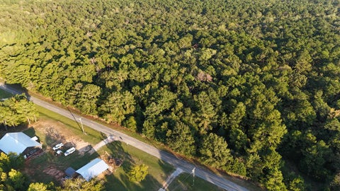 Vacant Land For Sale - 10340 County Road 54<br/> Skipperville, AL 36374