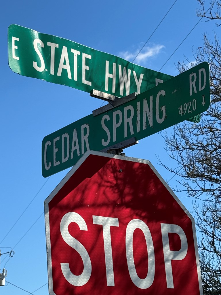 Cedar Springs Road, Ashford, Alabama image 9