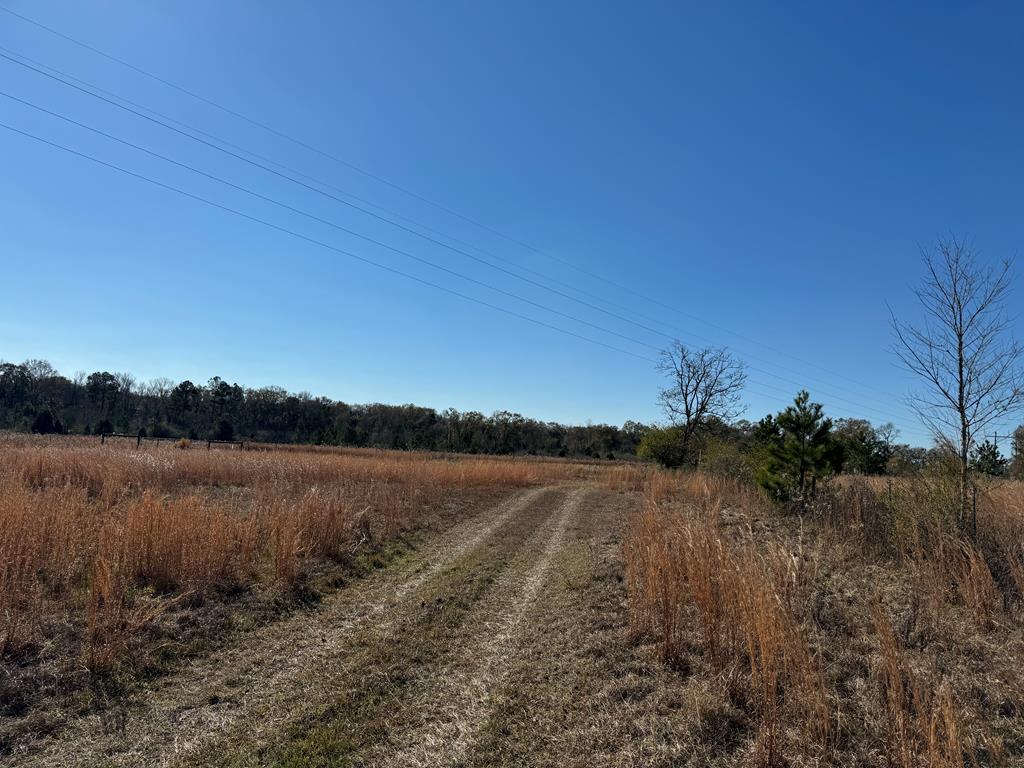 Cedar Springs Road, Ashford, Alabama image 8