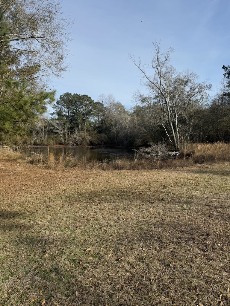 209 Pond View Dr, Opp, Alabama image 20