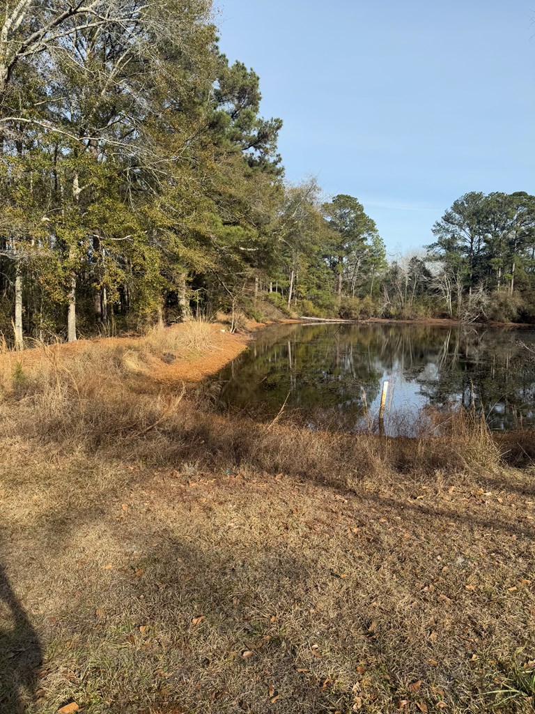 209 Pond View Dr, Opp, Alabama image 15