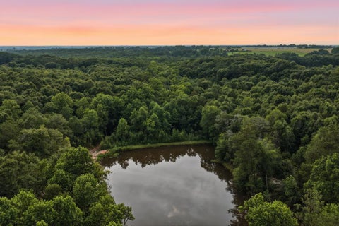 Vacant Land For Sale - County Road 438<br/> Elba, AL 36323