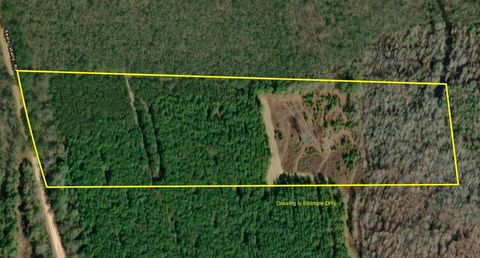 Vacant Land For Sale - 20.5 ACRES Tract 4, Sealy Wells Rd<br/> Cottonwood, AL 36320