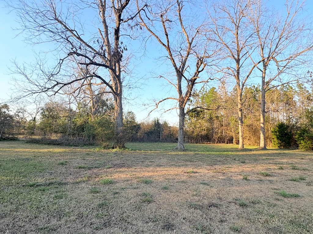 69 Granger Alley, Cottonwood, Alabama image 15