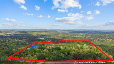 Vacant Land For Sale - 1162 N Union Avenue<br/> Dale County, Ozark, AL 36360