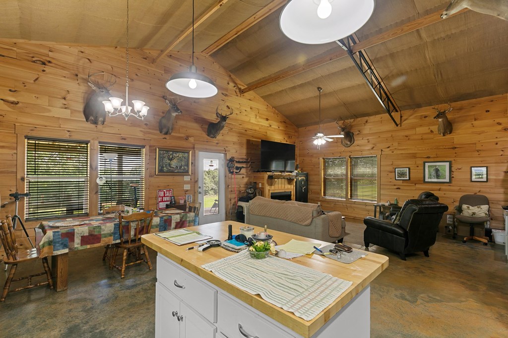 806 County Road 14, Midland City, Alabama image 12