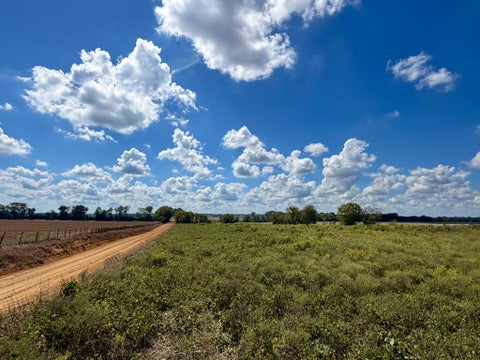 Vacant Land For Sale - 2.71 ACRES Hollis Dairy Rd<br/> Newton, AL 36352