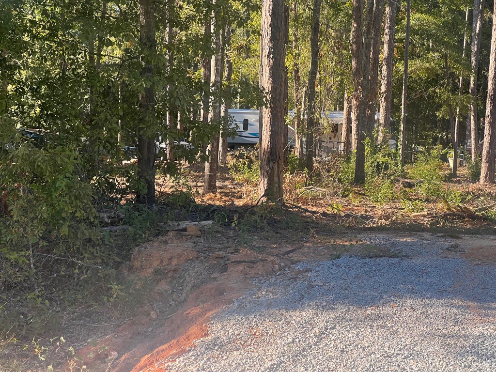 Calhoun Dr, Abbeville, Alabama image 6