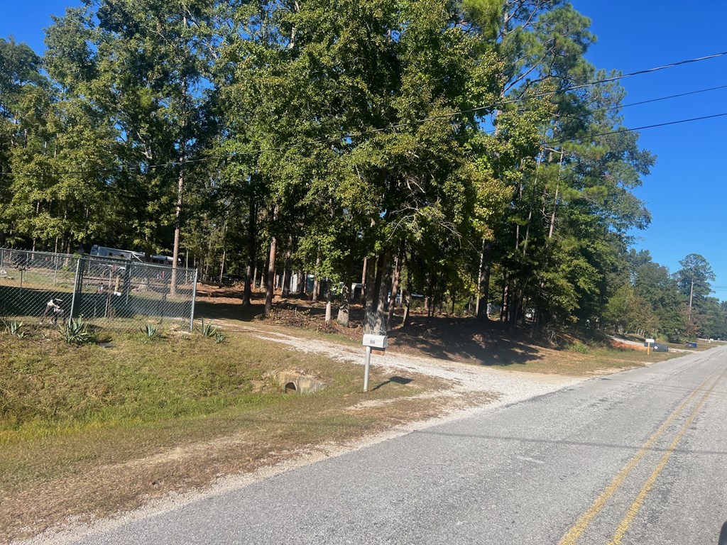 Calhoun Dr, Abbeville, Alabama image 2