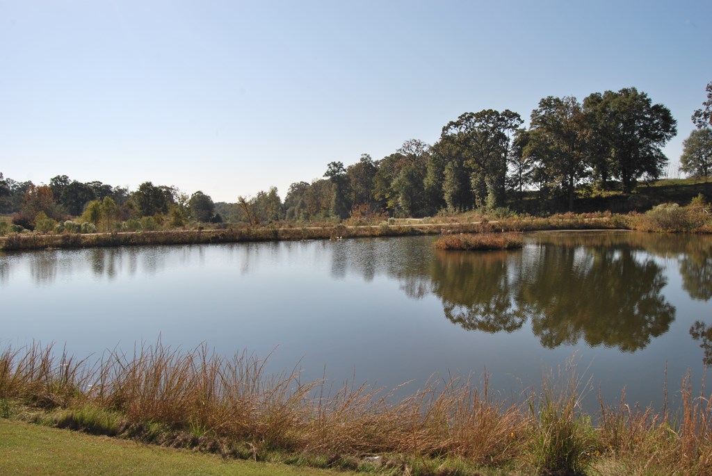 Lot 21 1st Add Weeping Willow Trail, Headland, Alabama image 12