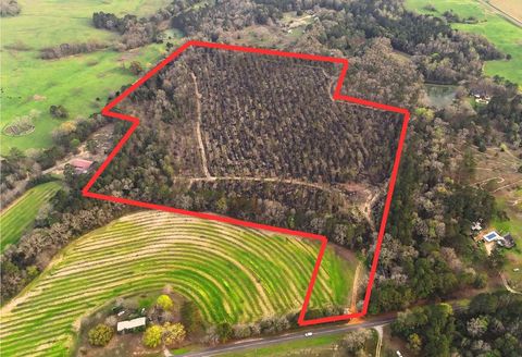 Vacant Land For Sale - County Road 49<br/> Headland, AL 36345