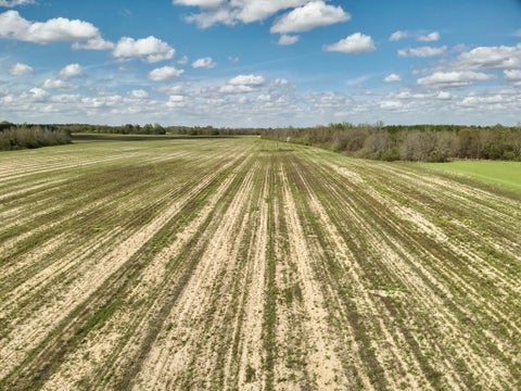 Vacant Land For Sale - 15 ACRES Antioch Church Road<br/> Ashford, AL 36312