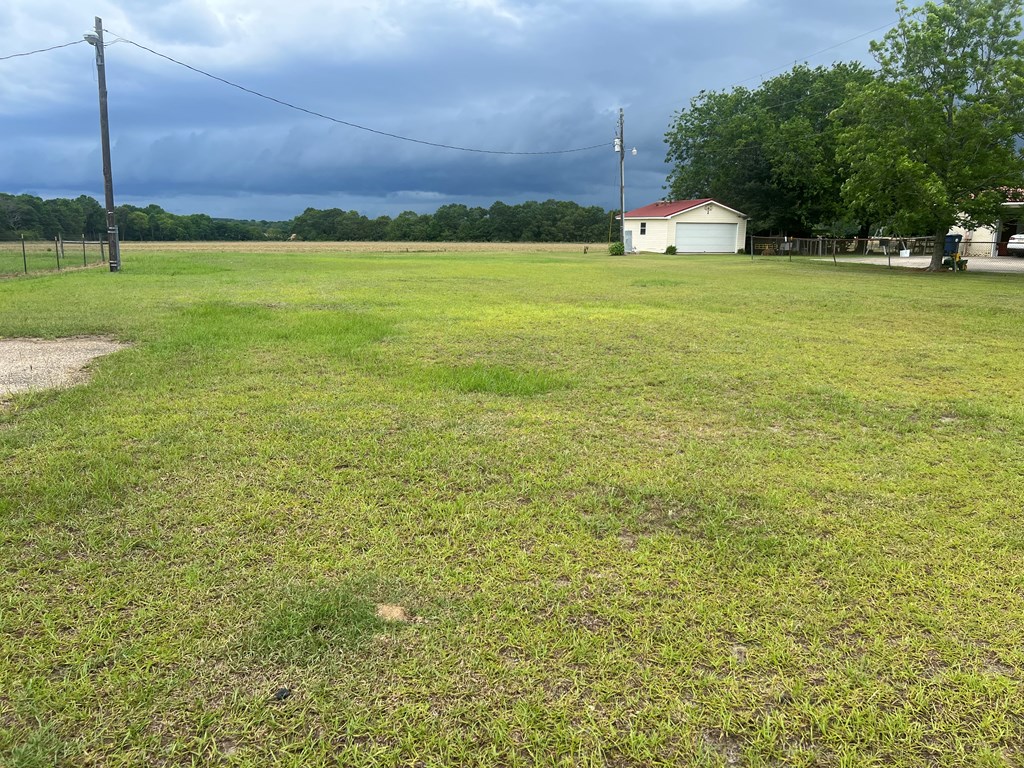 3084 S State Hwy 123, Newton, Alabama image 2