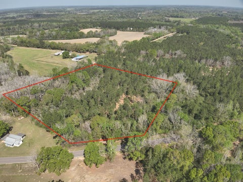 Vacant Land For Sale - LOT 3 County Rd. 49<br/> Slocomb, AL 36375