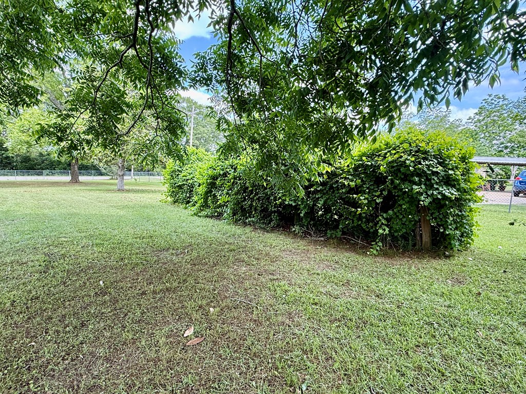 135 Springdale Road, Hartford, Alabama image 28