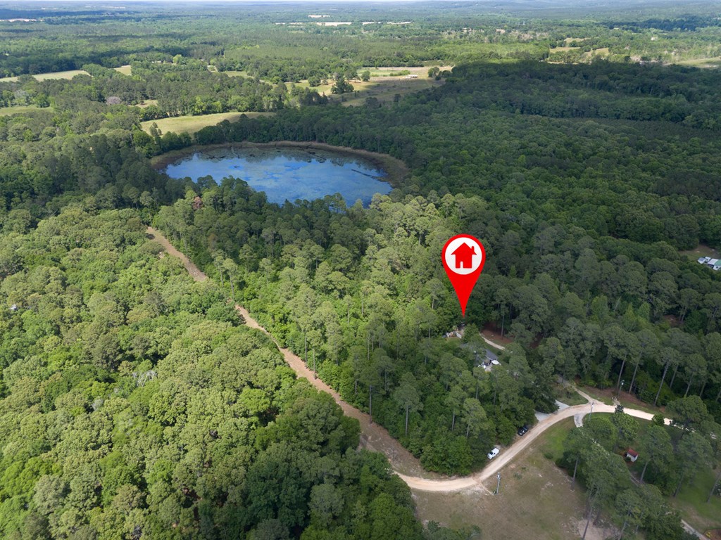 74 Lagoon Way, Ft. Gaines, New York image 5