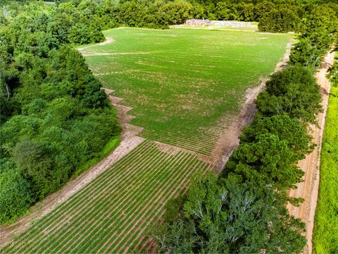 Vacant Land For Sale - 03 Adams Road<br/> Ashford, AL 36312