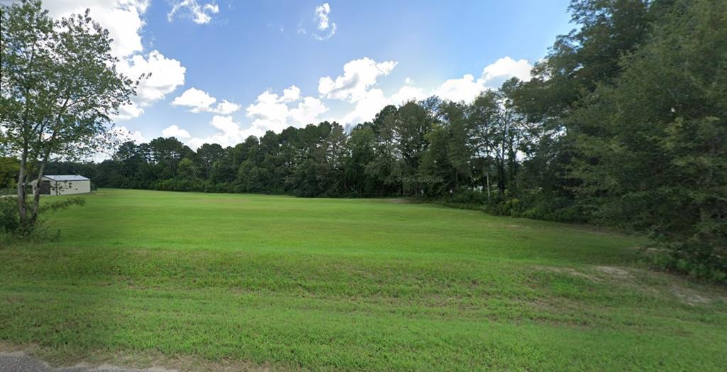 219 Mccord, Dothan, Alabama image 1