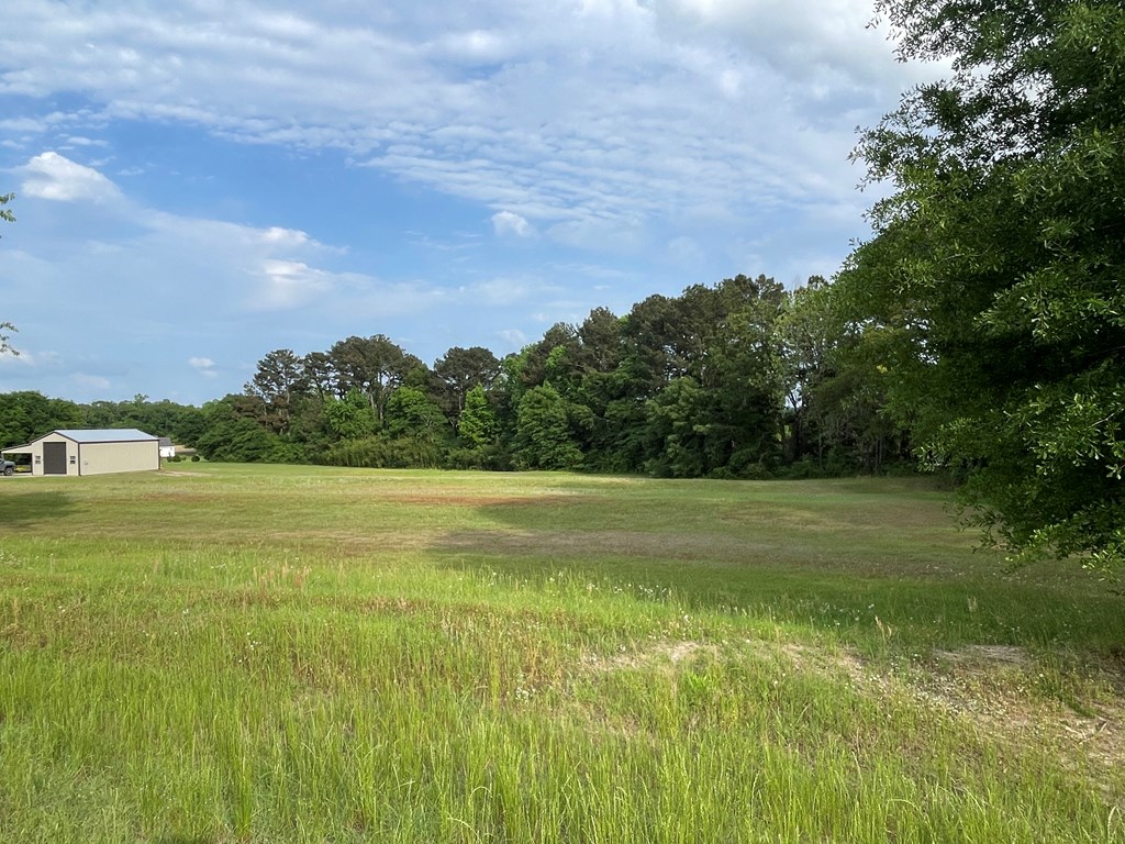 219 Mccord, Dothan, Alabama image 2