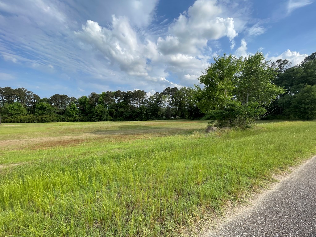 219 Mccord, Dothan, Alabama image 3
