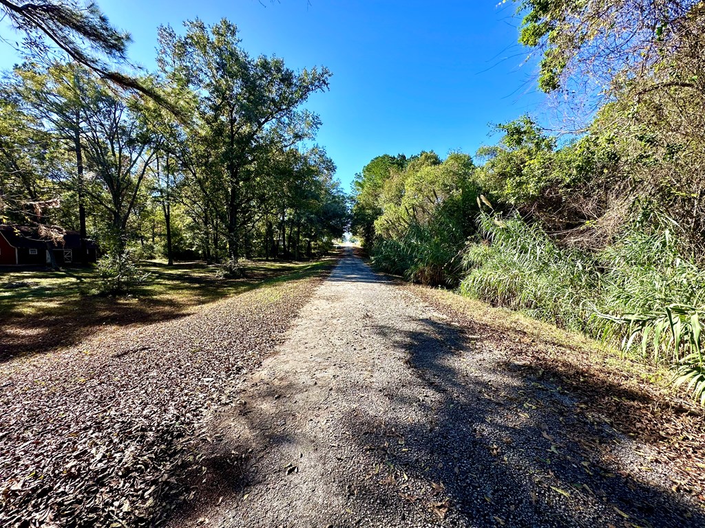 7830 County Road 55, Headland, Alabama image 47