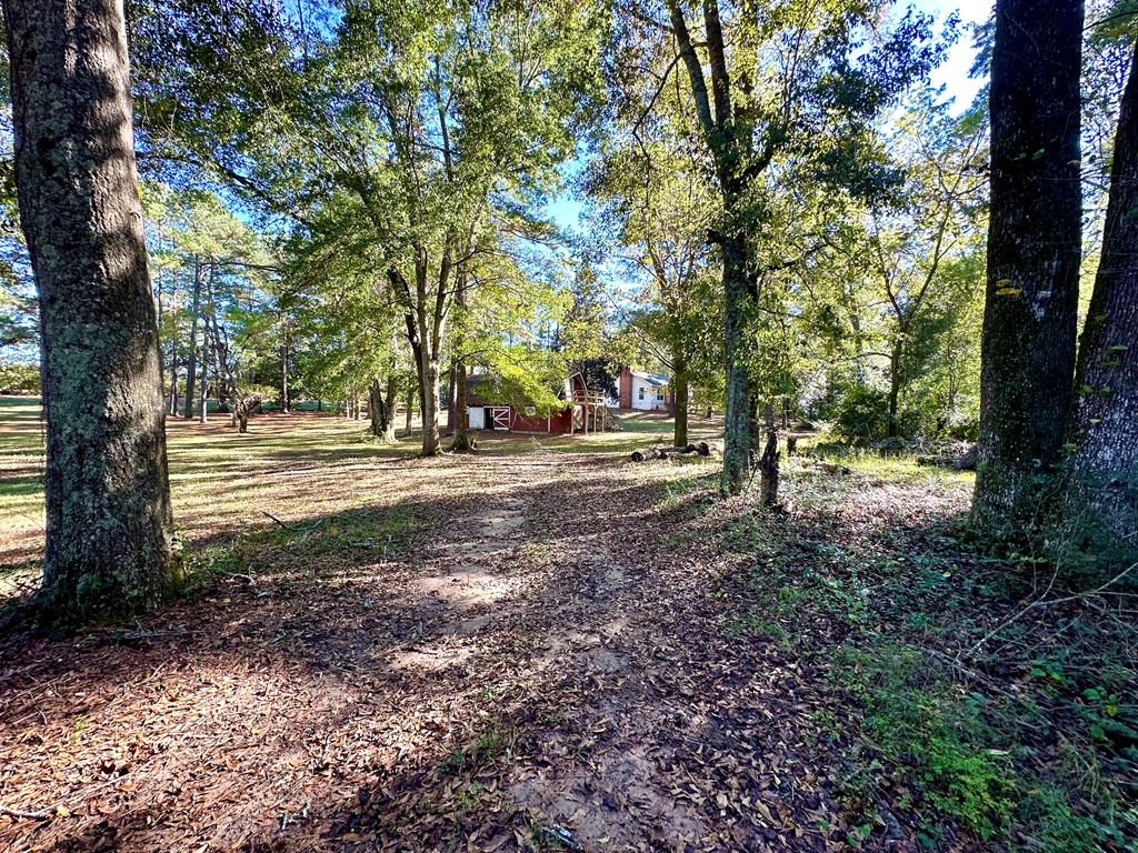 7830 County Road 55, Headland, Alabama image 50