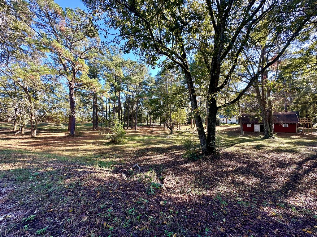 7830 County Road 55, Headland, Alabama image 49