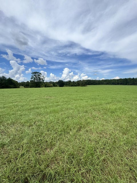 Vacant Land For Sale - Cecil Varnum Road<br/> Houston County, Dothan, AL 36301