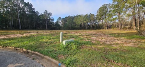 Vacant Land For Sale - LOT 42 & 43 Anita Ct<br/> Houston County, Dothan, AL 36303