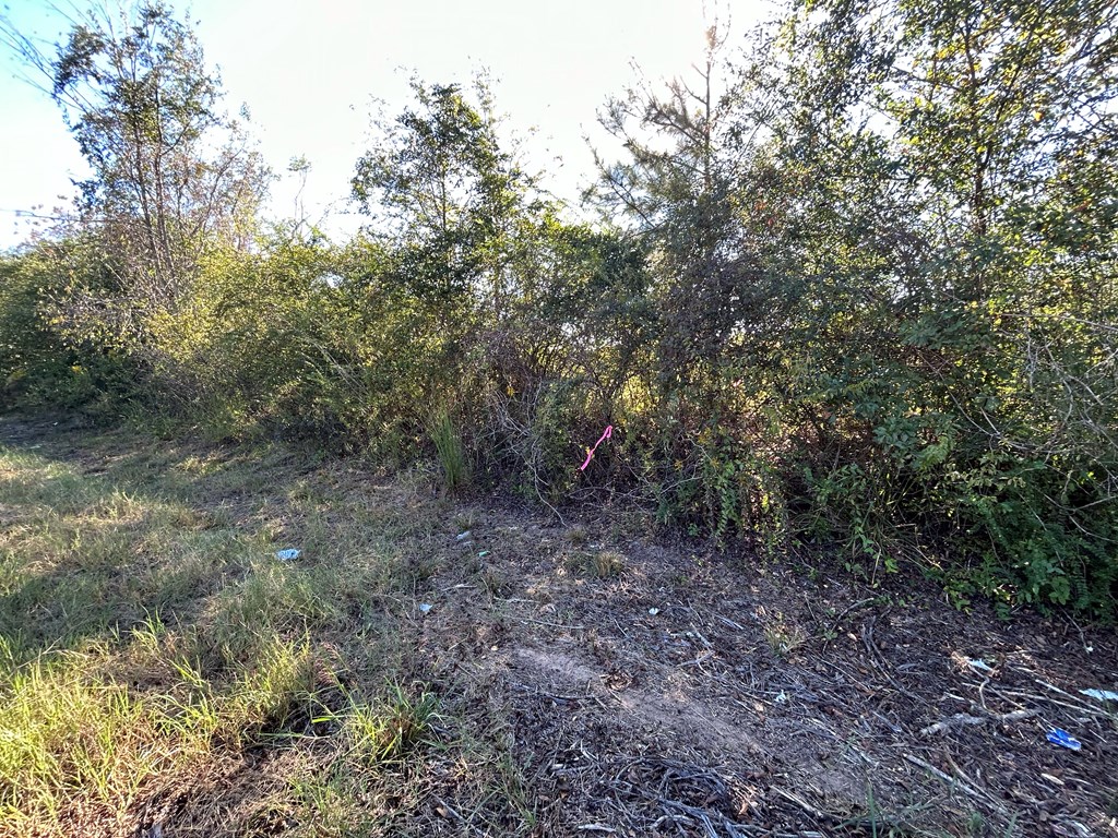 4.892+-ac Lot 2, Willie Varnum Rd, Cottonwood, Alabama image 14