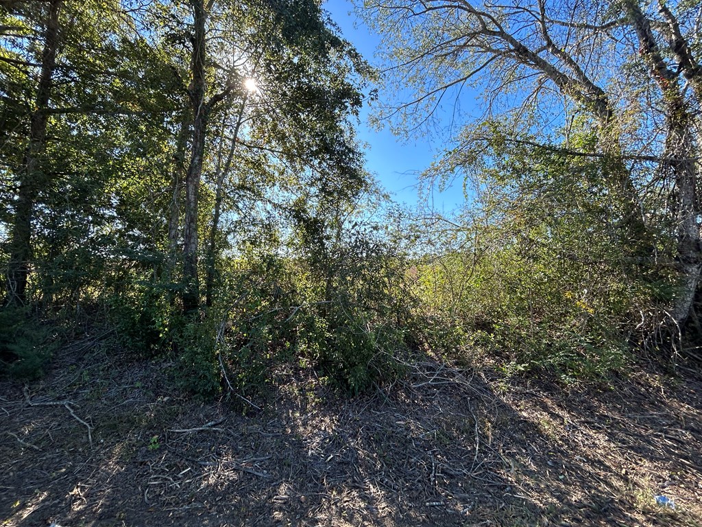 4.892+-ac Lot 2, Willie Varnum Rd, Cottonwood, Alabama image 12