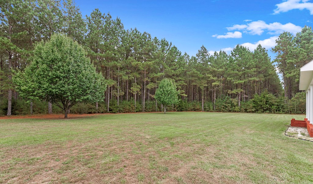 14890 Us 84, Newton, Alabama image 18