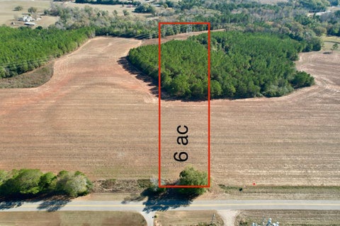 Vacant Land For Sale - County Rd 238<br/> Headland, AL 36345